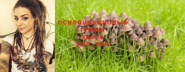 экстази Алексин