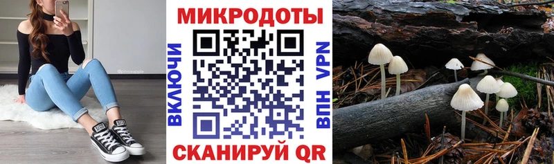 Галлюциногенные грибы Psilocybine cubensis  ОМГ ОМГ как зайти  Ртищево 
